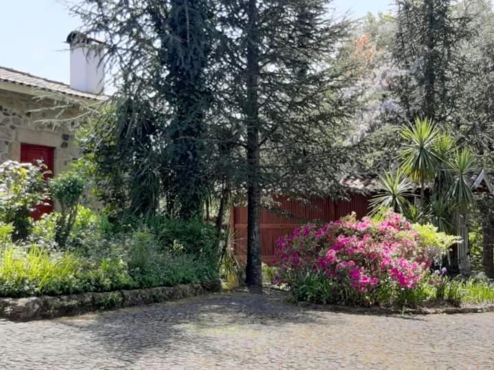 סלוריקו דה באשטו Quinta Da Chouza Agroturismo E Enoturismo מראה חיצוני תמונה