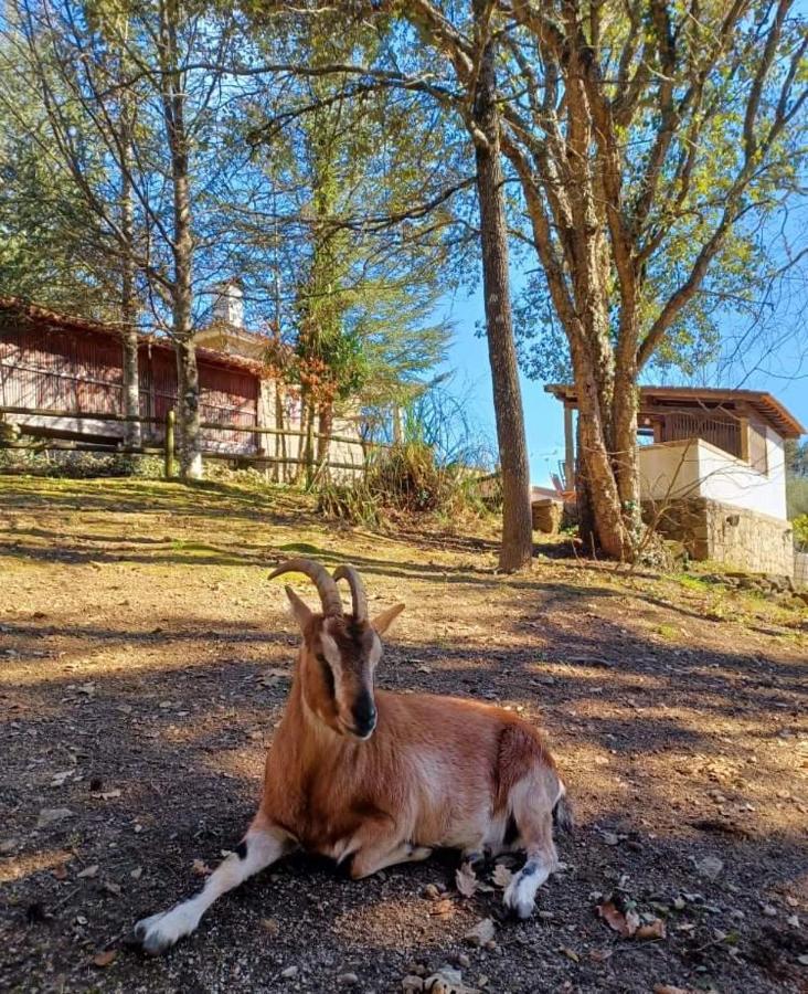 סלוריקו דה באשטו Quinta Da Chouza Agroturismo E Enoturismo מראה חיצוני תמונה