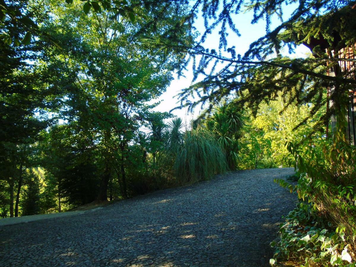 סלוריקו דה באשטו Quinta Da Chouza Agroturismo E Enoturismo מראה חיצוני תמונה