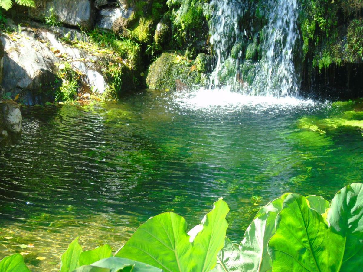 סלוריקו דה באשטו Quinta Da Chouza Agroturismo E Enoturismo מראה חיצוני תמונה