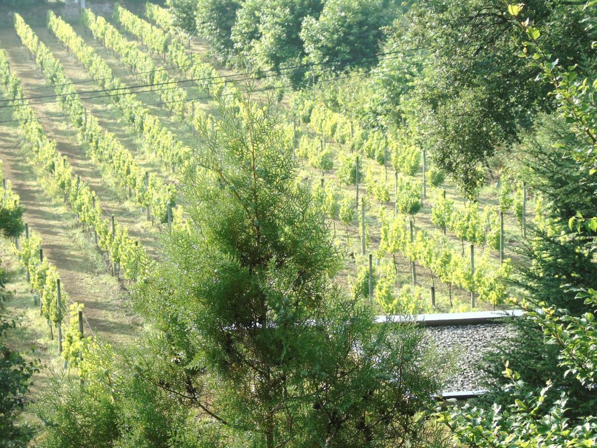 סלוריקו דה באשטו Quinta Da Chouza Agroturismo E Enoturismo מראה חיצוני תמונה
