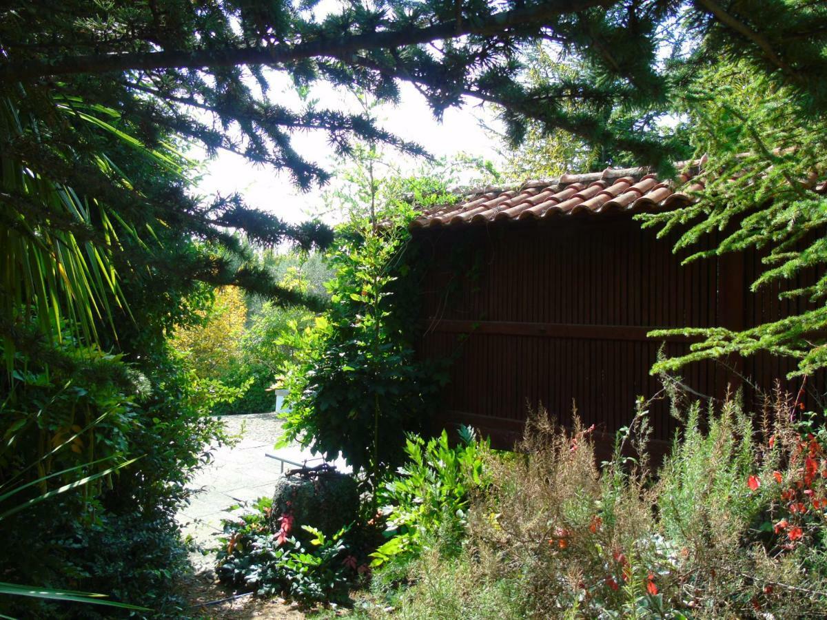 סלוריקו דה באשטו Quinta Da Chouza Agroturismo E Enoturismo מראה חיצוני תמונה