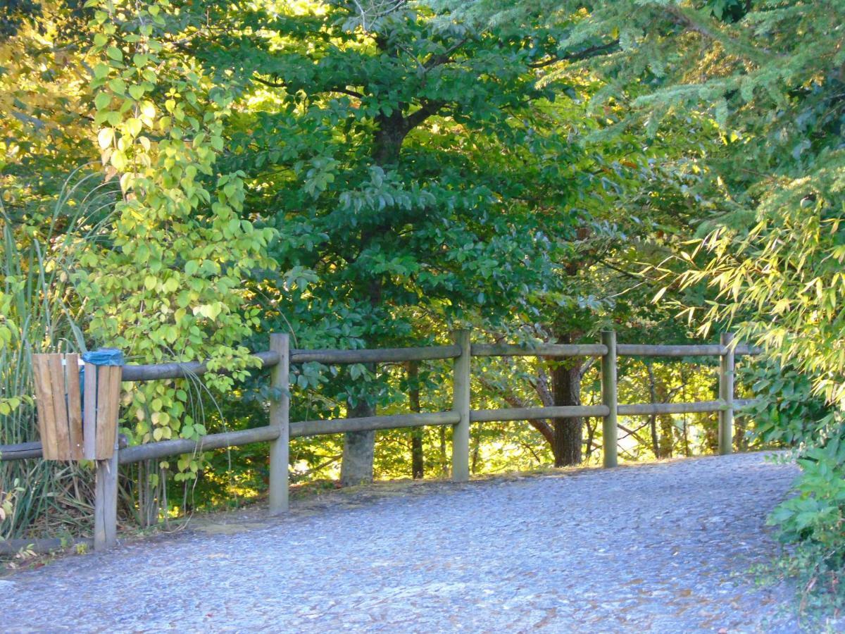סלוריקו דה באשטו Quinta Da Chouza Agroturismo E Enoturismo מראה חיצוני תמונה