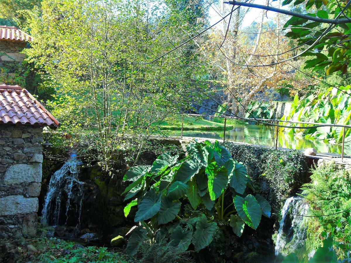 סלוריקו דה באשטו Quinta Da Chouza Agroturismo E Enoturismo מראה חיצוני תמונה